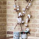 Отель Grand Monopole